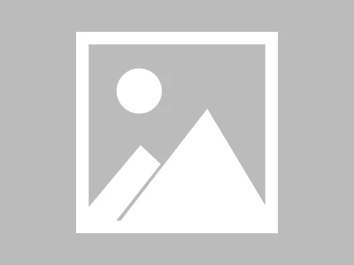 Halliburton: Michael Burry's Bets and What the Hell is Going On